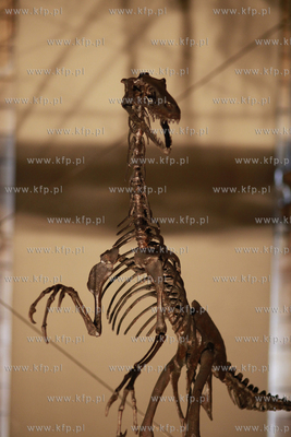 Londyn. Muzeum Historii Naturalnej.
07.10.2011
fot....