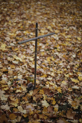 Gdynia Kolibki. Cmentarz.
24.10.2012
fot. Krzysztof...