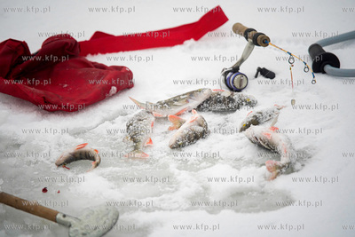 Wędkarstwo podlodowe w Gdańsku na skutej lodem Motławie...