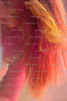 Gdansk. Plac Zebran Ludowych. Festiwal Kolorow.
22.08.2015
fot....