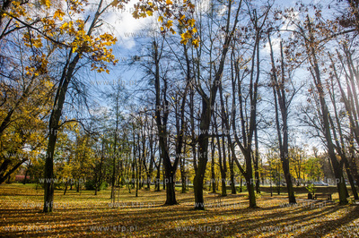 Gdańsk. Jesien w Parku Steffensa.
30.10.2016
fot....