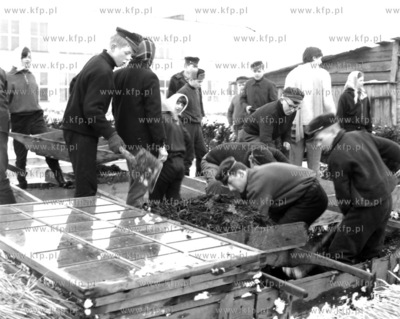 Uczniowie Technikum Ogrodniczego w Pruszczu Gdańskim...