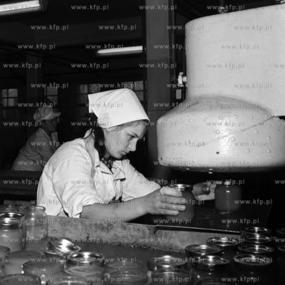 Linia produkcyjna Zakładów Przetwórstwa Owocowo-Warzywnego...