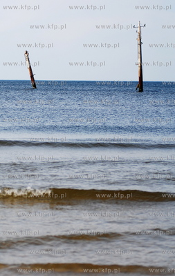 Miejscowosc Ulinia w gminie Wicko. Nz. Wystajace z...