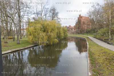 Starogard Gdański,Park Miejski.10.11.2019Fot. Krzysztof...