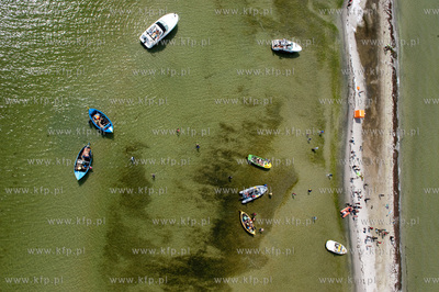 Marsz Sledzia odbywa sie Rybitwia Mielizna (Rewa Mew)...