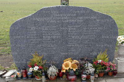 W Gdansku - Kokoszkach scieto drzewo na ktorym 2maja94...