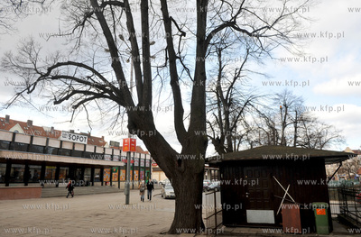 Dworzec PKP w Sopocie 22.03.2010 fot. Maciej Kosycarz...