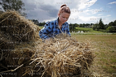 Rolnicy zbieraja slome na polu w Sztumie.
09.08.2012
fot....