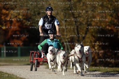 Gdańsk. Park Reagana. Pucharu Polski Psich Zaprzęgów...