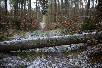Trójmiejski Park Krajobrazowy. Szlak niebieski ( odcinek...