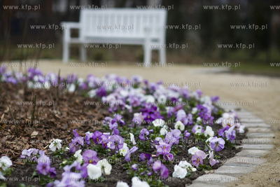 Sopot. Park przy Willi Herbstów.
30.03.2017
fot....