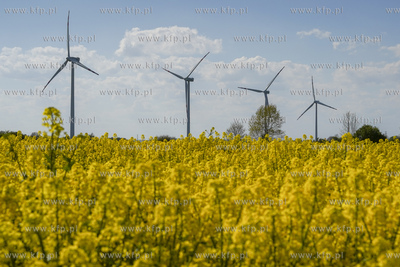 Farma wairtowa Bystra Grupy Energa zlokalizowana na...