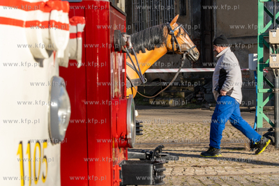 Dzień otwarty z zabytkowymi tramwajami w Zajedni Nowy...