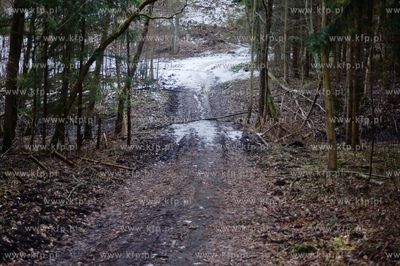 Gdansk. Oliwa, Trojmiejski Park Krajobrazowy. Sciezka...