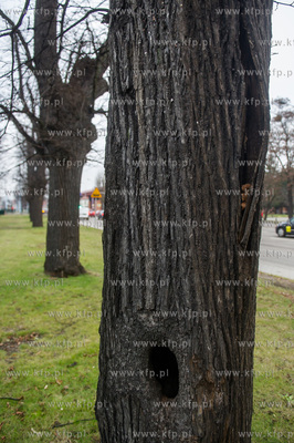 Gdańsk. Znajdująca się w ciągu Alei Zwyciestwa,...