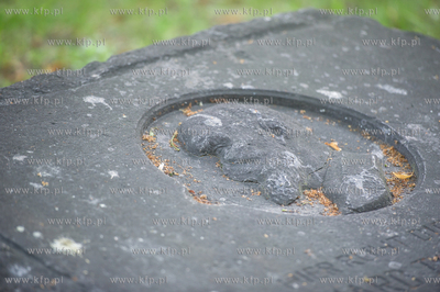 Gdańsk. Lapidarium w parku Akademickim. 17.07.2017...