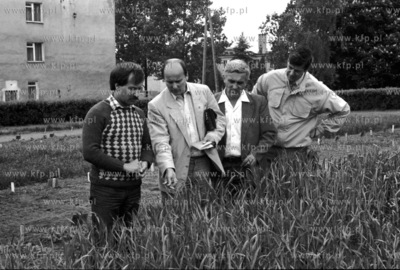 Komisja oglada pole prawdopodobnie w Zukowie lub jego...