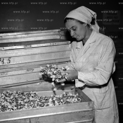 Zaklady Przemyslu Cukierniczego "Baltyk" w Gdańsku...