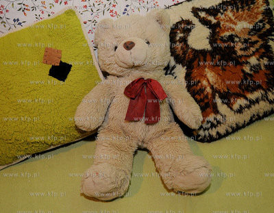 25.11 to  Swiatowy Dzien Pluszowego Misia. 
Historia...