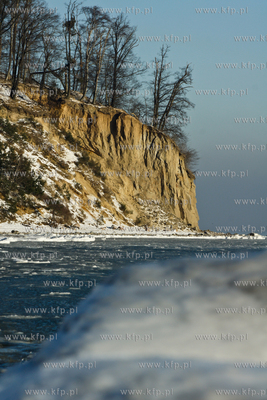 Mrozny poranek w Gdyni Orlowie. Nz. klif 24.01.2010...