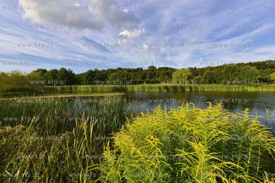 Gdansk. Park Reagana 29.08.2015 fot. Jan Harb Sieminski...