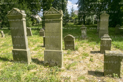 Cmentarz mennonicki z II połowy XVIII wieku w Stawcu...