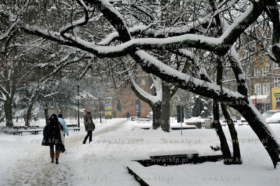 Gdansk zima. Park Swietopelka na ul. Szerokiej. 21.01.2016...