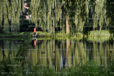 Park Oruński im. Emilii Hoene w Gdańsku. 4.08.2018...