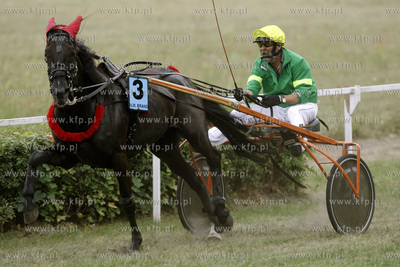 Wyscigi konne na sopockim hipodromie.
10.07.2011
fot.Krzysztof...