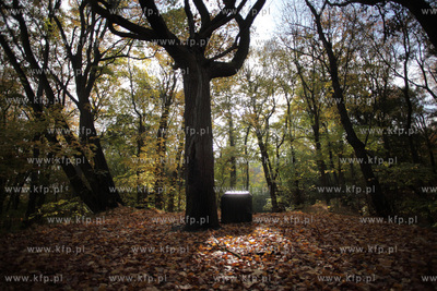 Pozostalosci cmentarza zydowskiego na  Krolewskim Wzgorzu...