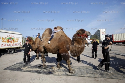 Gdansk Przymorze. Cyrk Zalewski zaprosil podopiecznych...