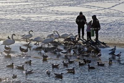 Sopot. Plaza przy molo.
29.12.2014
fot. Krzysztof...