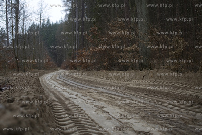 Trójmiejski Park Krajobrazowy. Szlak niebieski ( odcinek...