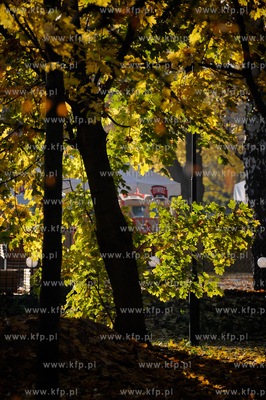Gdansk. Park Jelitkowski.
06.11.2011
fot. Mateusz...
