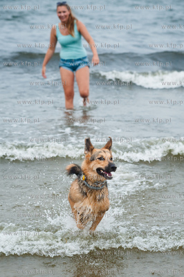 Sopocka plaza przyjazna dla zwierzat. Wprowadzona uchwala...