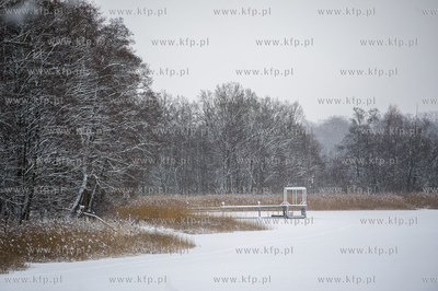 Sniezny zimowy dzien nad jeziorem Otominskim.
21.01.2016
fot....