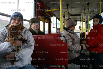 Swinoujscie. Okolo godziny 4 nad ranem pod samochodem...