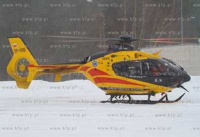 Gdansk, Rebiechowo. W dniu dzisiejszym przylecial nowy...