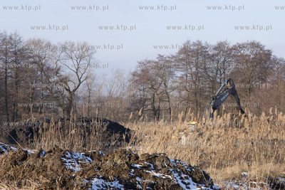 Poglebianie terenow bagiennych pomiedzy Kanalem Raduni...