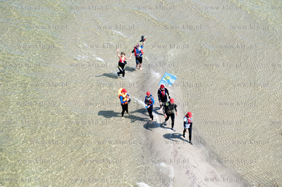 Marsz Sledzia odbywa sie Rybitwia Mielizna (Rewa Mew)...