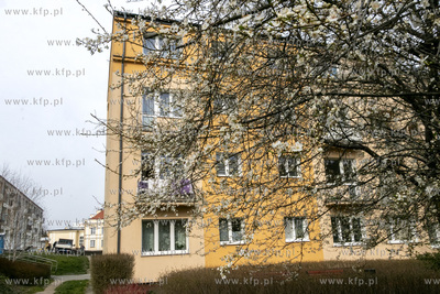 Blok przy ulicy 1 maja w Pruszczu Gdańskim. 
27.03.2020
fot....
