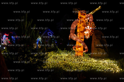 Przedpremierowy pokaz iluminacji w Lumina Park na terenie...