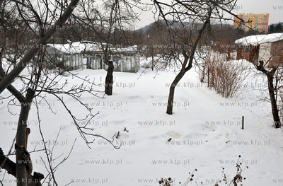 Ogrodki dzialkowe na ul. Wita Stwosza w gdansku Oliwie.
06.01.2011
fot....