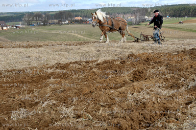 Wiosenne prace rolne przy uzyciu konia w Sulminie na...