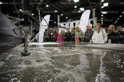 W Centrum Wystawienniczym Miedzynarodowych Targow Gdanskich...