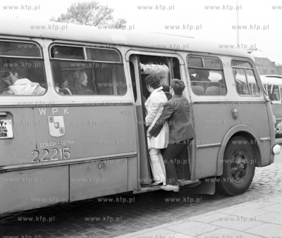 Tlok w autobusie komunkacji miejskiej marki jelcz popularny...