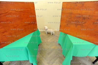 Wybory do Parlamentu Europejskiego 2009. Komisja nr...