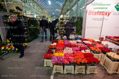Gdansk. Giełda kwiatowa Dick Inter.
08.03.2013
fot....