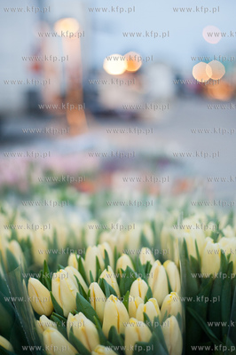 Gdansk. Giełda kwiatowa Dick Inter.
08.03.2013
fot....